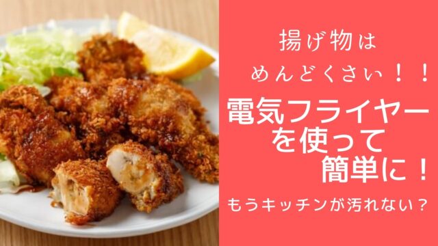 揚げ物は美味しいけどめんどくさい 電気フライヤーで簡単に作ろう